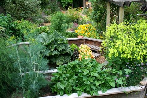  Designing Your Edible Landscape: A Step-by-Step Guide to Growing Food Where You Live - An exploration into the harmonious fusion of nature and human ingenuity!