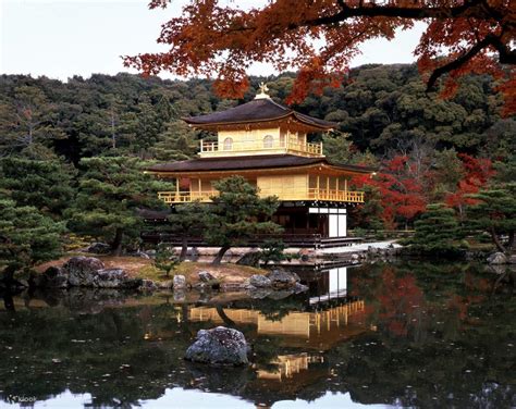  The Temple of the Golden Pavilion : A Tapestry Woven From Destruction and Desire